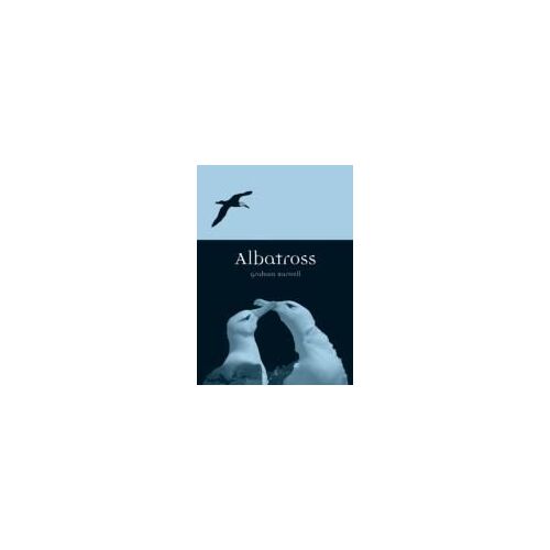 Albatross
