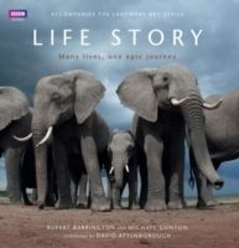 Life Story: Many Lives, One Epic Journey