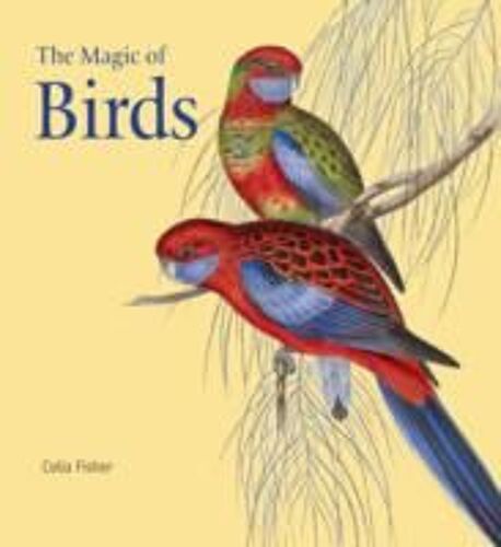 The Magic Of Birds
