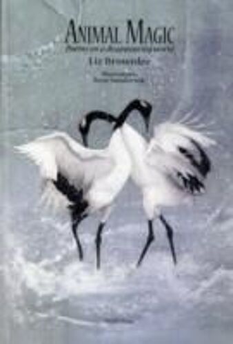 Animal Magic