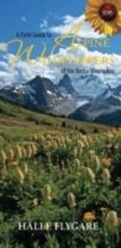 A Field Guide To Alpine Wildflowers Of The Rocky Mountains