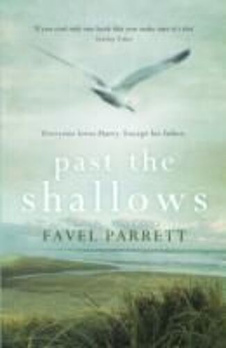 Past The Shallows