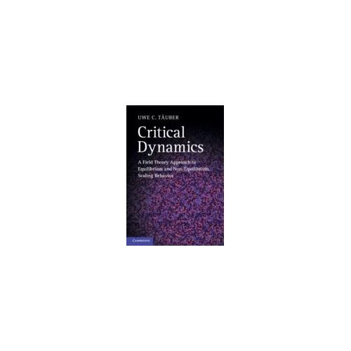 Critical Dynamics - A Field Theory Approach To Equilibrium And Non-Equilibrium Scaling Behavior