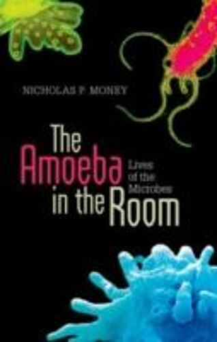 The Amoeba In The Room