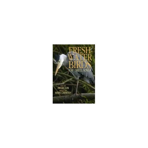 Freshwater Birds Of Ireland