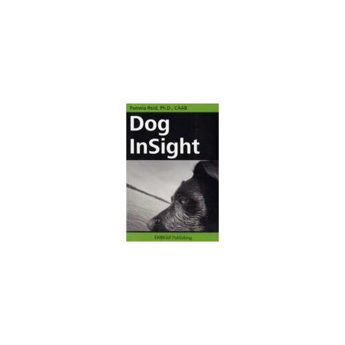 Dog Insight