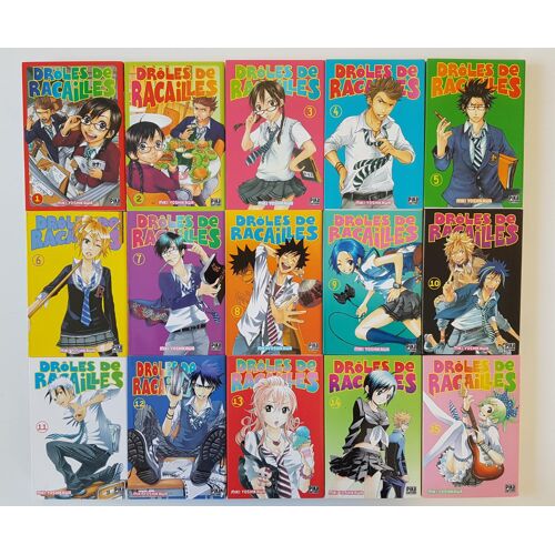 Drôles De Racailles : Tome 1 À 15 (Manga De Miki Yoshikawa)