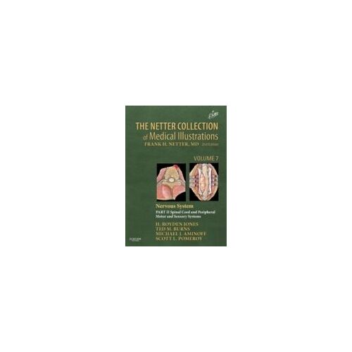 The Netter Collection Of Medical Illustrations, Volume 7