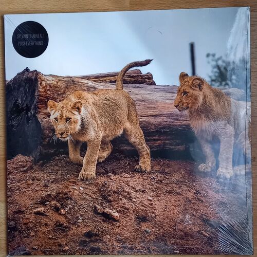 Sylvain Chauveau "Post-Everything" (Vinyle)