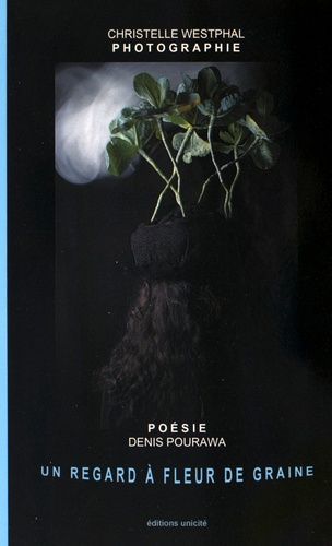 Un Regard À Fleur De Graine