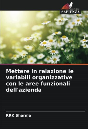 Mettere In Relazione Le Variabili Organizzative Con Le Aree Funzionali Dell'azienda