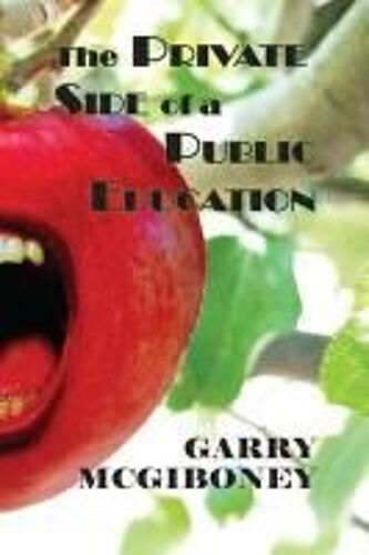 The Private Side Of A Public Education