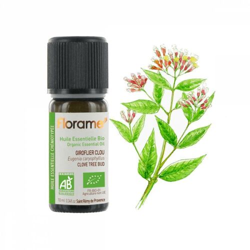 Florame ® Huile Essentielle - Giroflier Clou Bio Eugenia Caryophyllus - 10ml