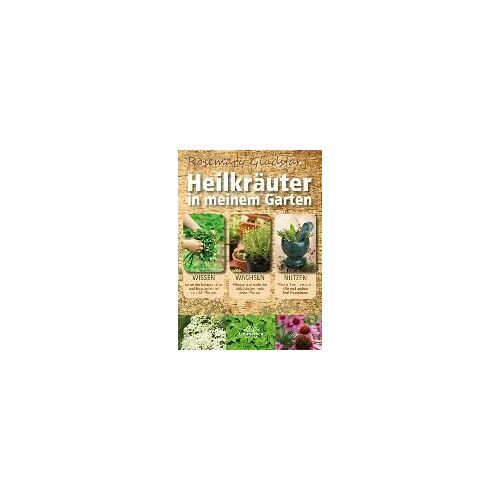 Heilkräuter In Meinem Garten