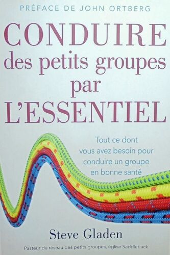 Conduire Des Petits Groupes Par L'essentiel : Tout Ce Dont Vous Avez Besoin Pour Conduire Un Groupe En Bonne Santé