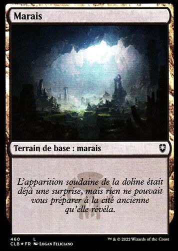 Marais - Foil - Magic - La Bataille De La Porte De Baldur - C - 460