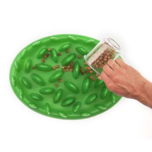 Gamelle Green Northame Pour Chien