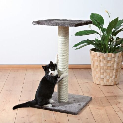 Arbre À Chat Espejo Gris