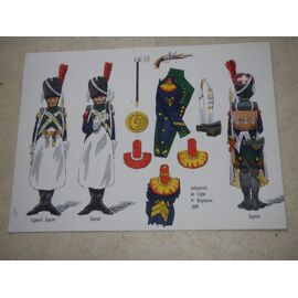 Le Plumet.  Planche 83. Infanterie De Ligne 9e Régiment 1809