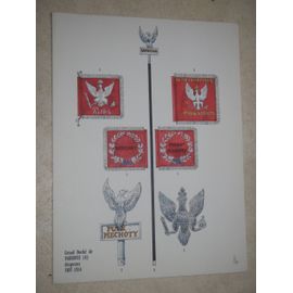 Le Plumet.  Planche D5. Série D. Grand Duché De Varsovie (Ii).  Drapeaux 1807-1814