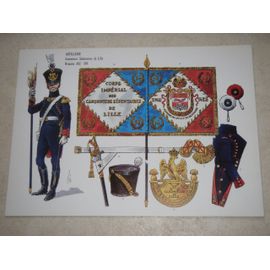 Le Plumet.  Planche 169. Artillerie Canonniers Sédentaires De Lille Drapeau 1812-1814