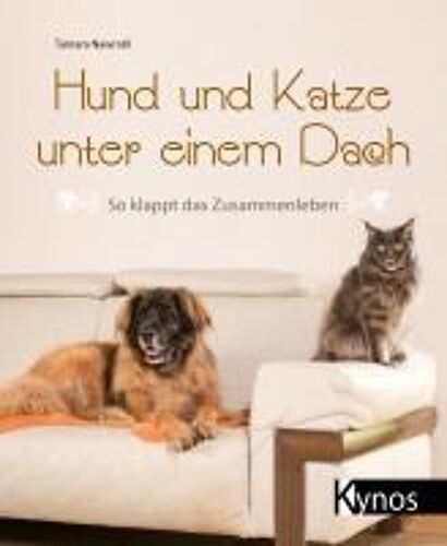 Hund Und Katze Unter Einem Dach