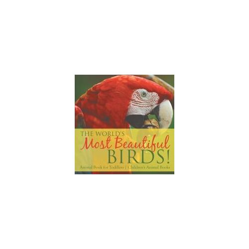 The World's Most Beautiful Birds! Animal Book For Toddlers | Children's Animal Books