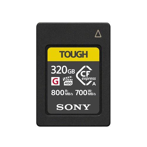 Cartes memoire Sony Ceag 320 T