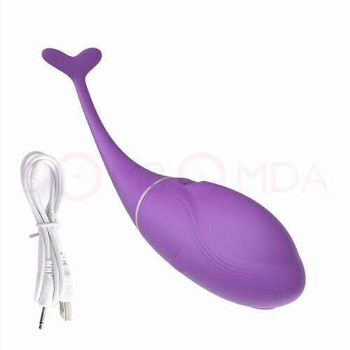 Godemichet Vibrateur Sans Fil Pour Femmes, Télécommande, Application, Vêtements, Culottes Vibrantes, Jouets Pour Couple, Sex Shop