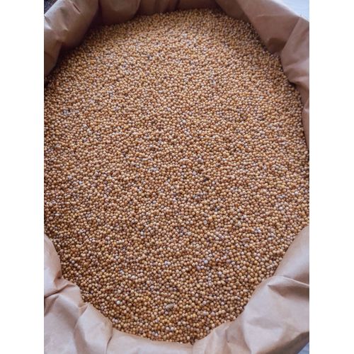 1kg Semence Moutarde Blanche