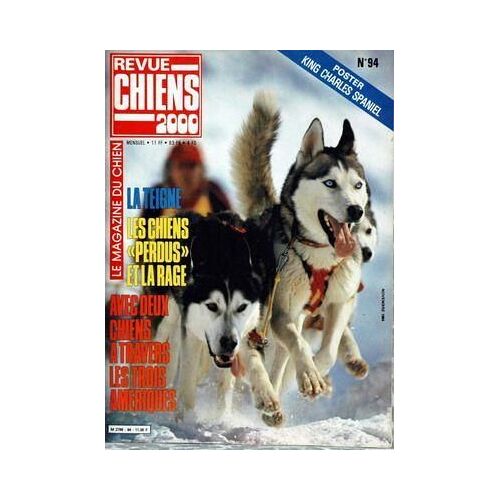 Revue Chiens 2000 N° 94 Du 01/11/1984 - King Charles Spaniel - La Teigne - Les Chiens Perdus Et La Rage  - Avec 2 Chiens A Travers Les Trois Ameriques.