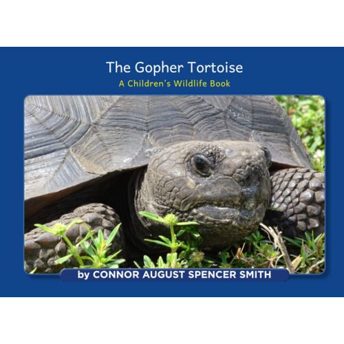 The Gopher Tortoise: A Children's Wildlife Book