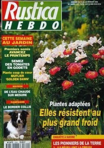 Rustica N° 1364 Du 14/02/1996 - 1ers Semis - Semez Des Tomates En Godets - Muflier - Eau Chaude - Le Border Collie - Plantes Adaptees - Les Pionniers De Laterre.