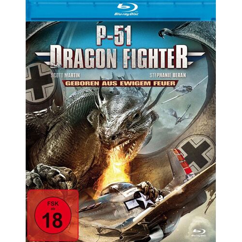 P-51 Dragon Fighter