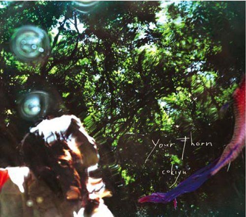 Your Thorn