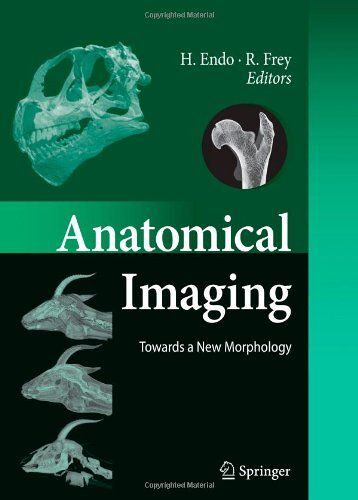 Anatomical Imaging