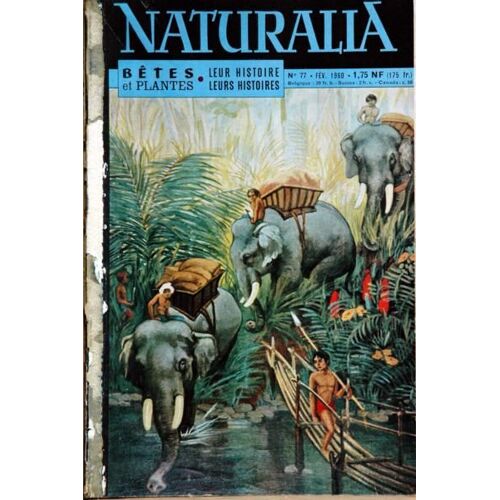 Naturalia N° 77 Du 01/02/1960 - Les Elephants Au Travail - En Compagnie Des Crapauds - Le Dr Roux - Bienfaiteur De L'humanite - La Naissance Du Roi De Rome - Le Sanglier - Blaireaux - Mes Amis - Conte - Le Rhinoceros Va-T-Il Disparaitre - Le Cheva...