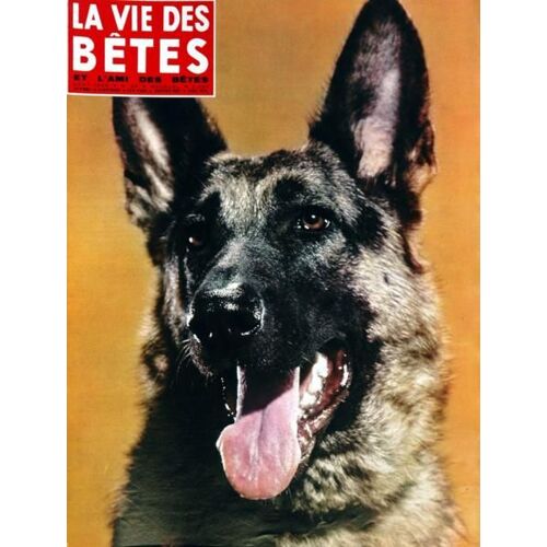 Vie Des Betes (La) N° 98 Du 01/09/1966 - Ces Chiens A La Fois Loup Et Chacals - Les Colobes A Manteau Blanc - Le Grand Coq De Bruyere - La Pastenague - Les Rapaces Geants Des Pyrenees - Le Prince Du Silver Wald  -   M. Hadrich - Combat De Mangoust...