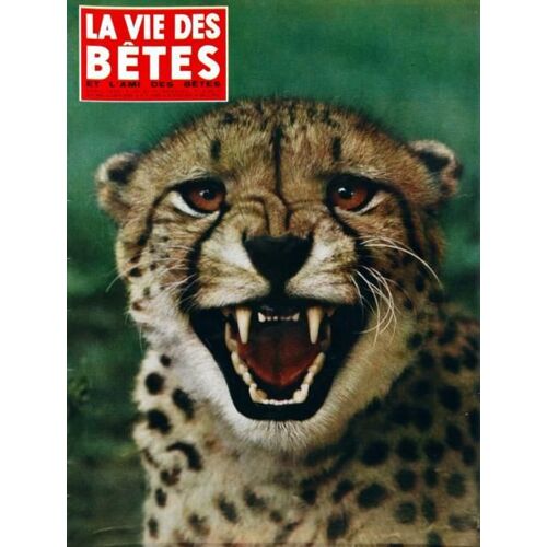 Vie Des Betes (La) N° 81 Du 01/04/1965 - Congres De Zoophilie Francaise - Les Loutres - L'aigrette - Les Lampyres - Le Diablotin - L'ile Aux Murenes - Les Manteaux De Guepard - Afrique Orientale  -   Parcs - Tous Les Suides - Le Coyote Americain -...