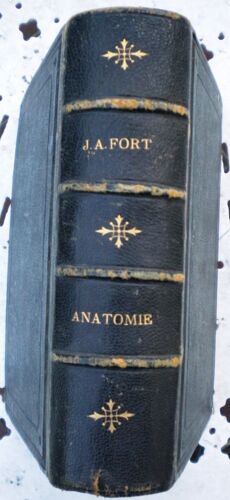 Manuel D'anatomie