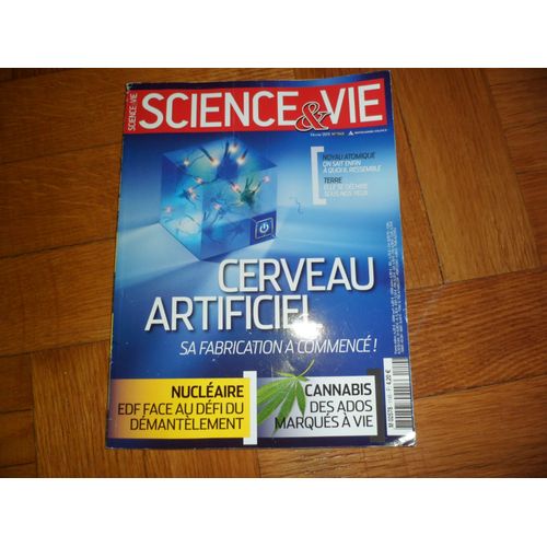 Science & Vie 1145 Cerveau Artificiel