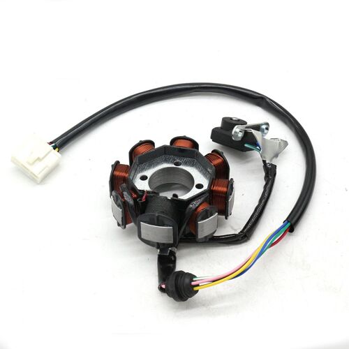 Bobine Magnétique Cg-125 Grade 8 Cc, Pour Atv Utv Dirt Bike, Go Karting 125 150, 250cc Classe A