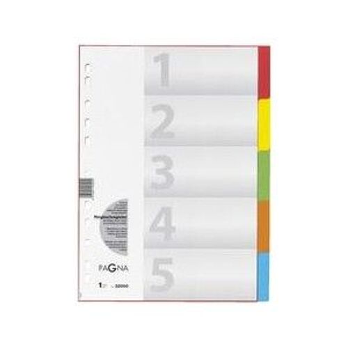 PAGNA carton-registre, format A4, 5 pièces, 5 couleurs