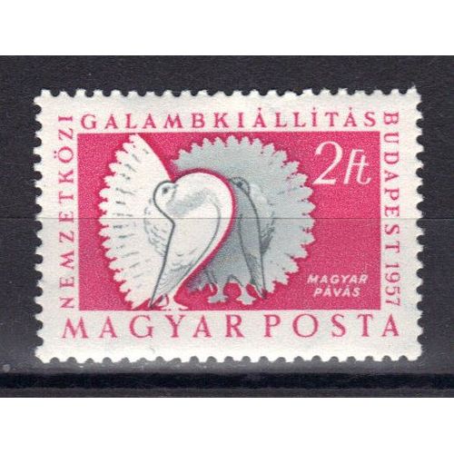 Hongrie 1957 : Exposition Colombophile Internationale, À Budapest : Oiseaux : Pigeon, Queue En Éventail - Timbre Neuf *