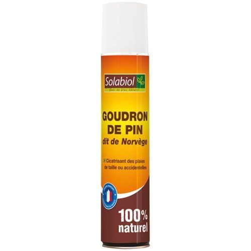 Groudron de Pin dit de Norvège - 200 mL