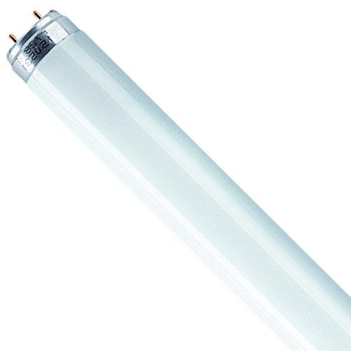Tube fluocompacte 60 cm - 18 W - 880 lumière du jour