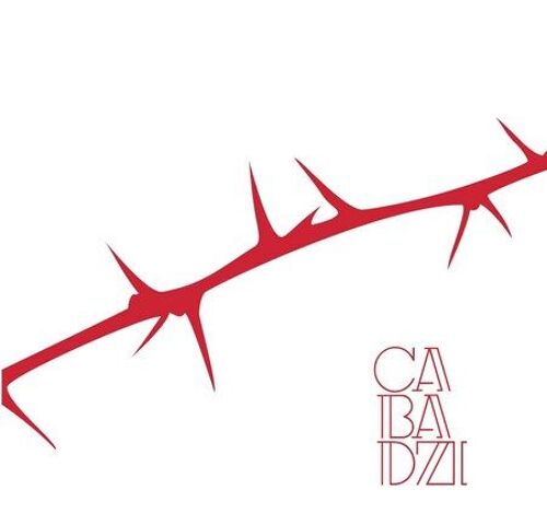 Des Angles Et Des Épines ! (Coffret Vinyl)