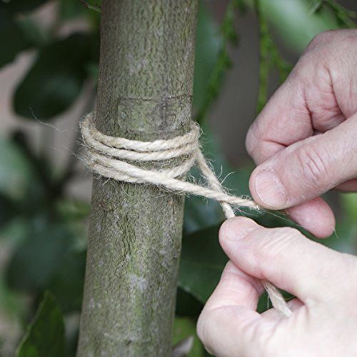 Roll Ficelle De Jardinage Jute 1kg La Cordeline