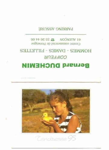 Calendrier Orne Alençon Bernard Duchemin Coiffeur Tendresse 1995 Caneton Et Petite Fille 