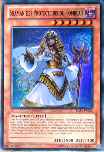 Carte Yu-Gi-Oh Lval-Fr033 Shaman Des Protecteurs Du Tombeau Neuf Fr